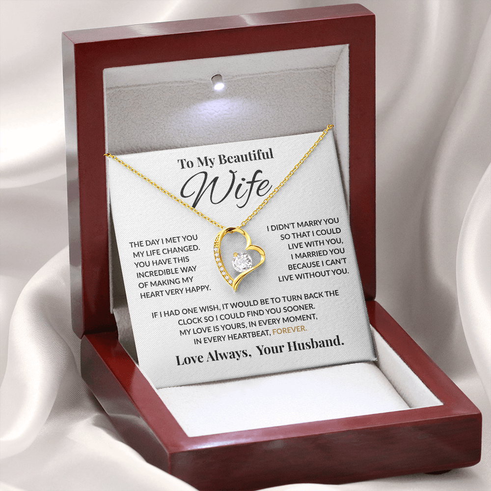 Special Gift For Wife “The Day I Met You My Life Changed” Forever Love Necklace