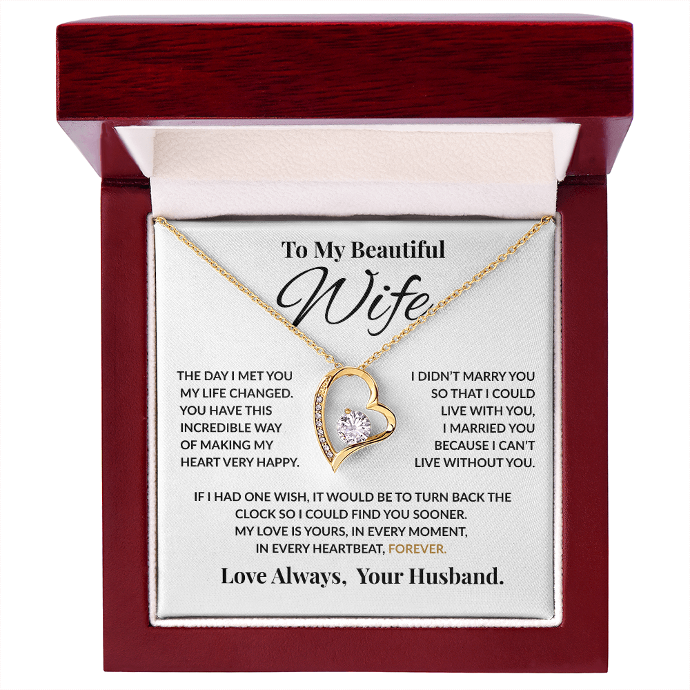 Special Gift For Wife “The Day I Met You My Life Changed” Forever Love Necklace