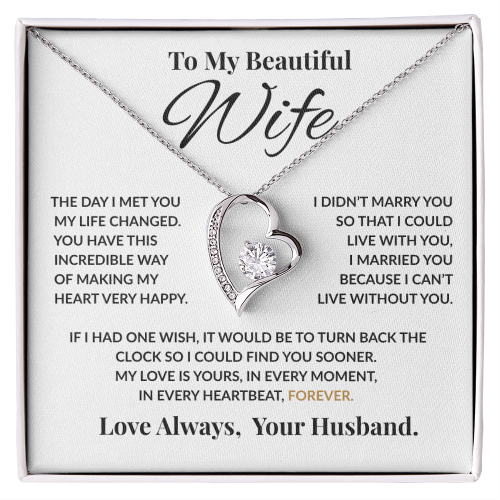 Special Gift For Wife “The Day I Met You My Life Changed” Forever Love Necklace